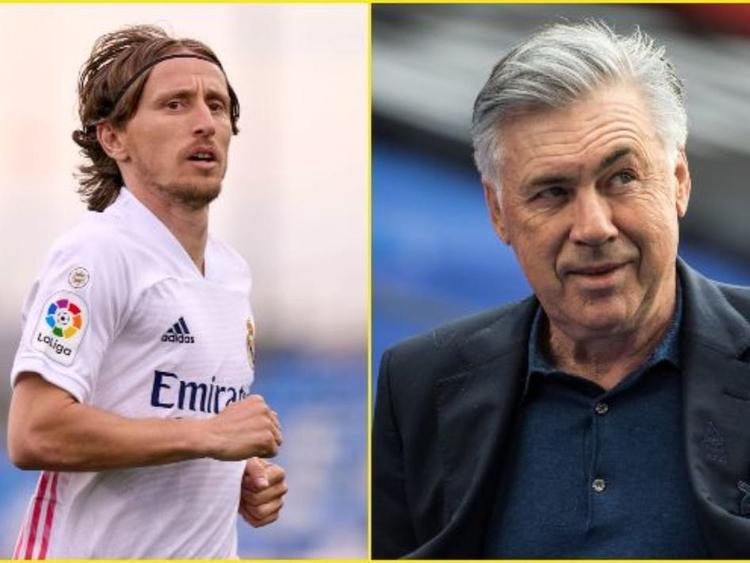 作为中国羽 作为中国羽